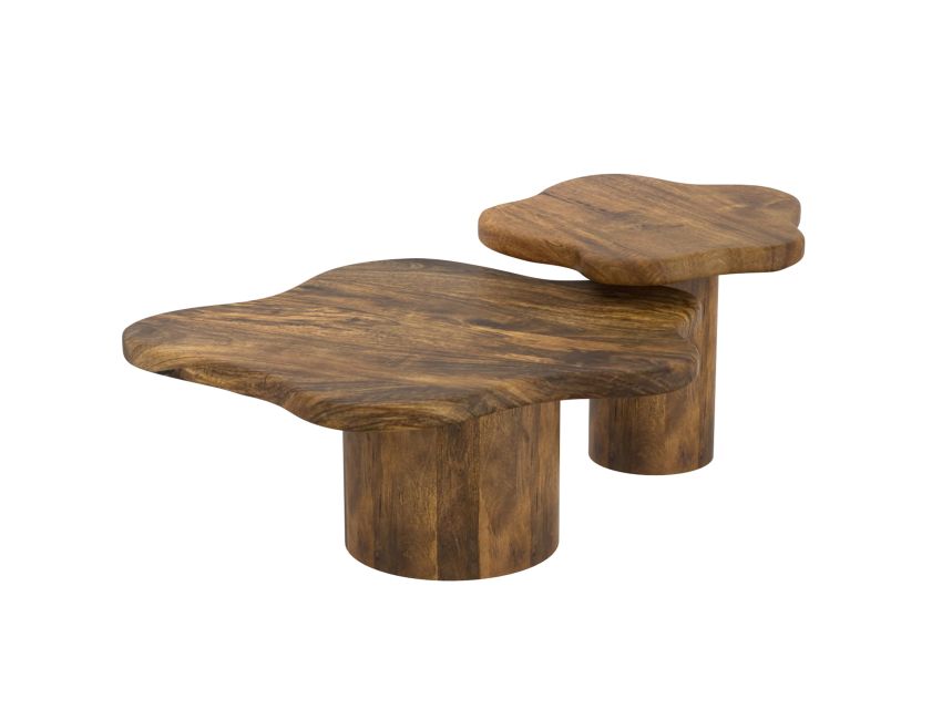 MAYAL 2pc Coffee Table Set - Berre Furniture