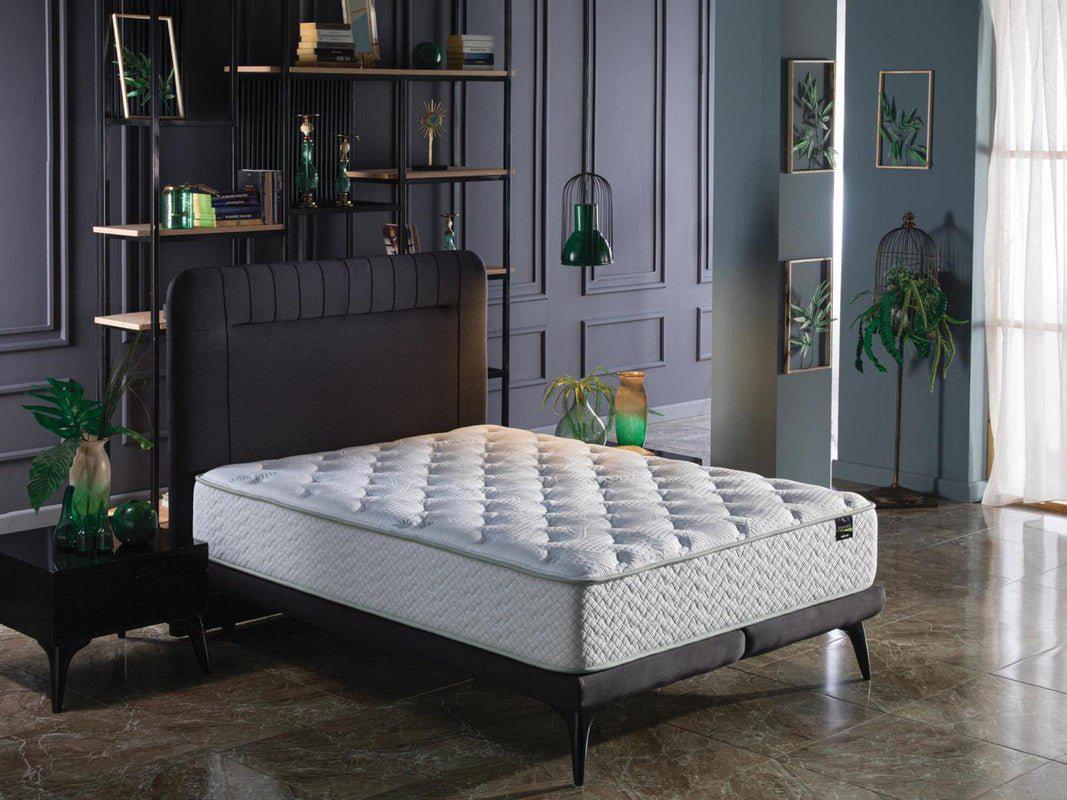 Veraflex Advance Queen Mattress by Bellona