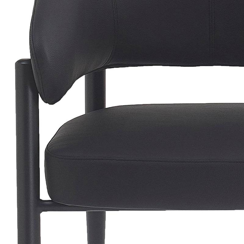 Bronson Dining Chair, Set Of 2