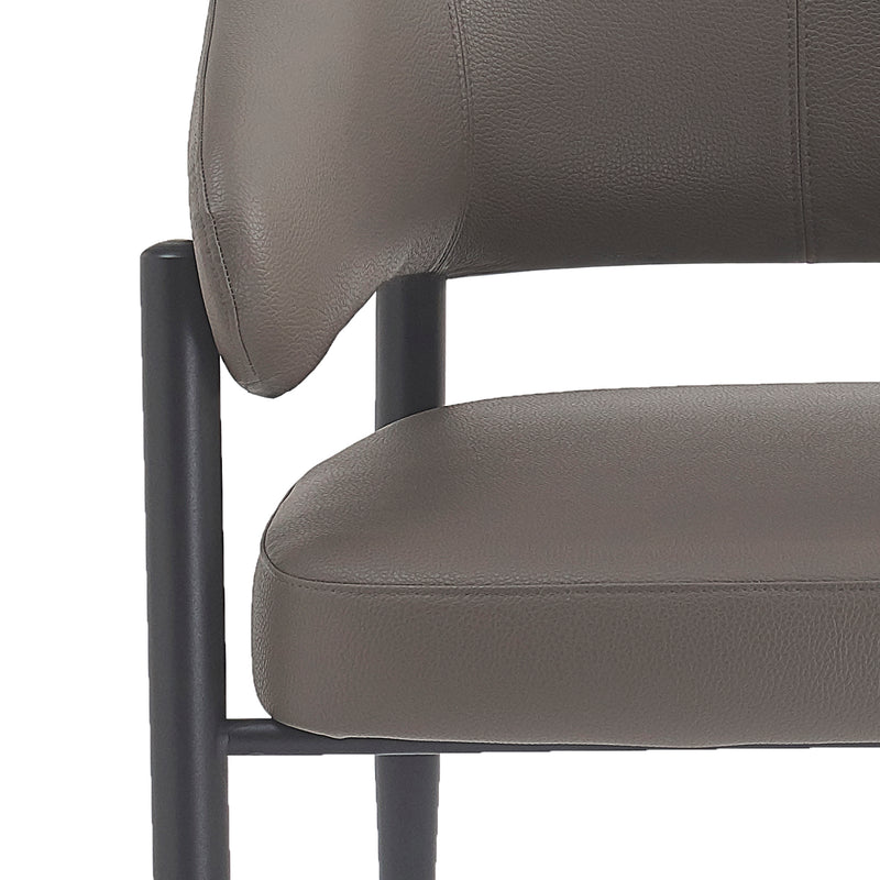 Bronson Dining Chair, Set Of 2