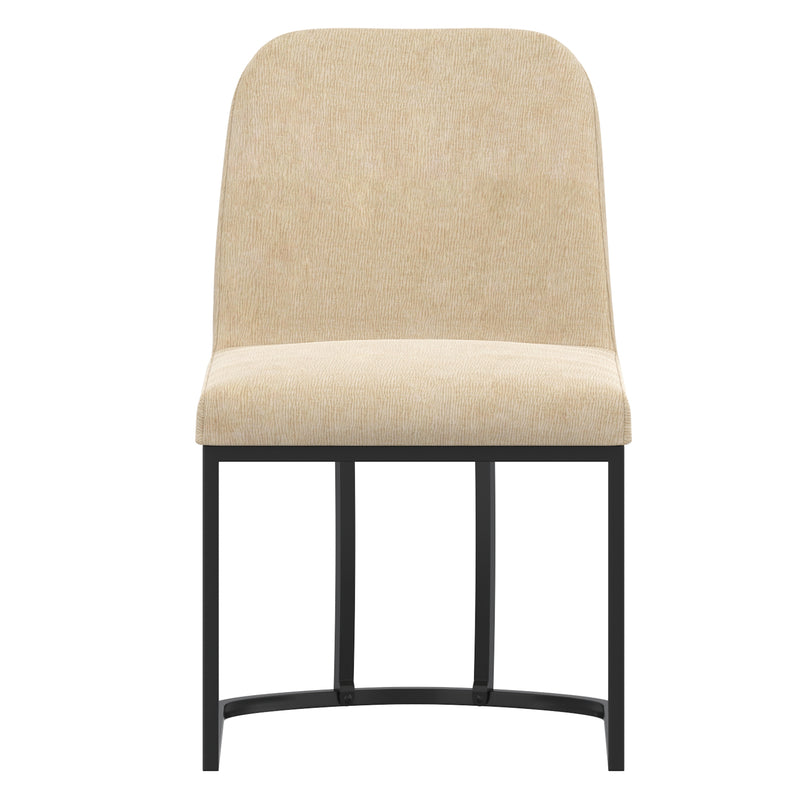 Dario Dining Chair, Set Of 2