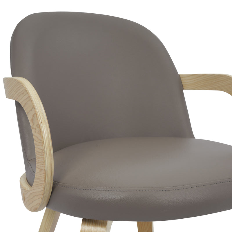 Celest Dining Chair, Set Of 2