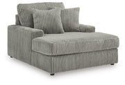 Lindyn Living Room Chairs Chaise Fog