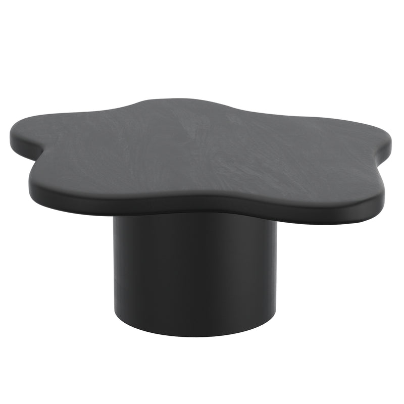 Large Coffee Table