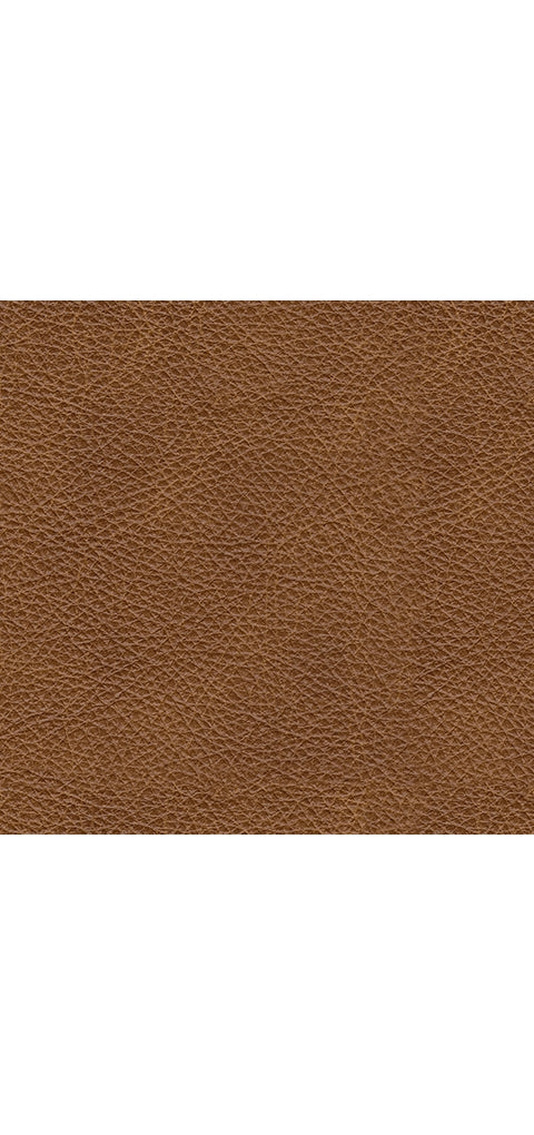 Carianna Loveseat
