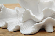 Bidelia Sculptures