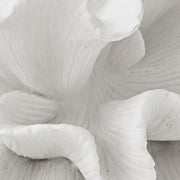 Bidelia Sculptures