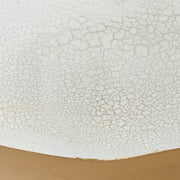 Mohsen Indoor/Outdoor Vases and Bottles - Cream/Tan