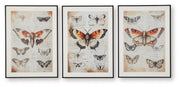 Jossletts Wall Art Set Default Title