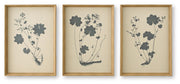 Kalene Wall Art - Linen/Black Huddwick Wall Art (Set of 3)