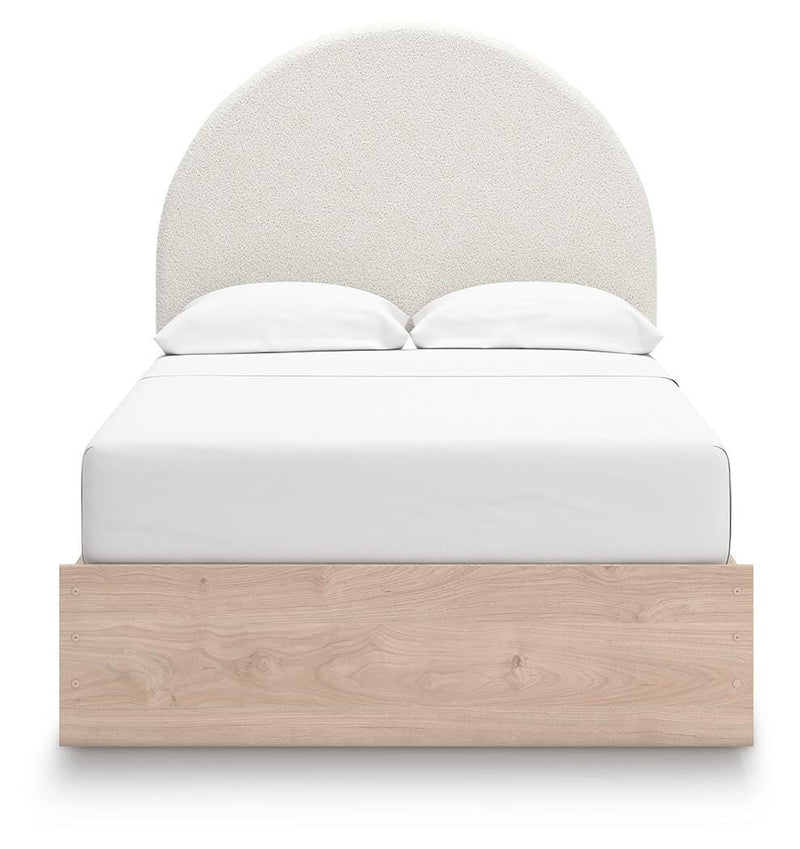 Shapella Beds