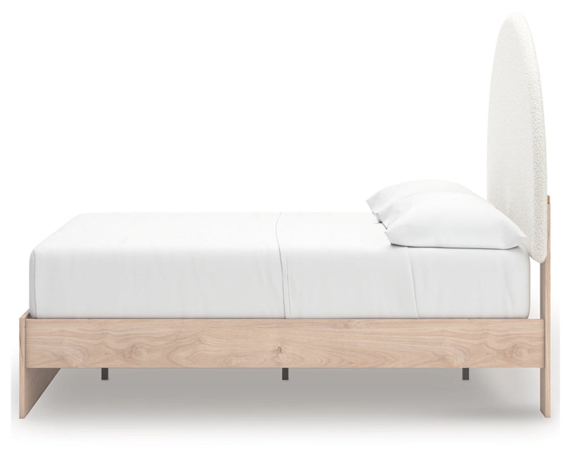 Shapella Upholstered Bed