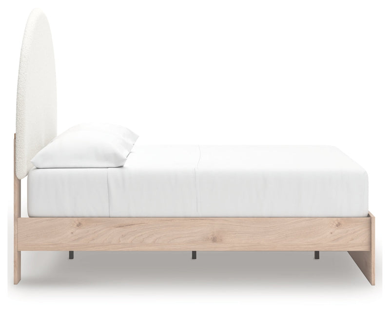 Shapella Upholstered Bed