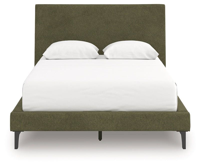Zadilyn Bed