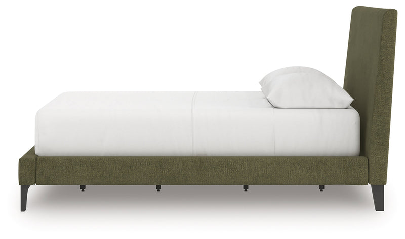Zadilyn Bed