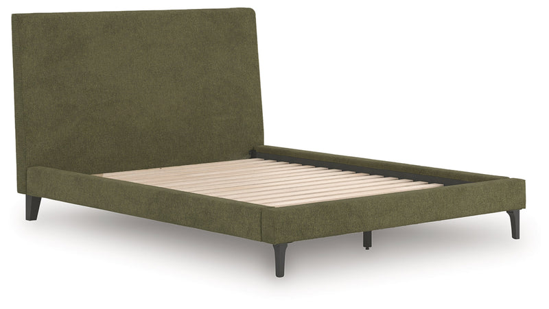 Zadilyn Bed