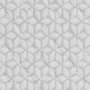 Limited Edition FirmMattress