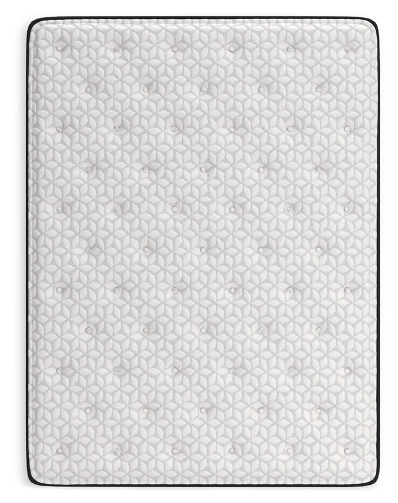 Limited Edition PlushMattress