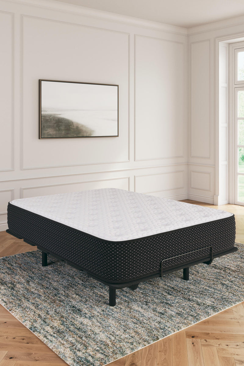 Limited Edition Plush Mattresses