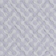 Anniversary Edition Firm Mattresses