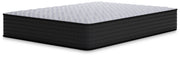 Anniversary Edition Firm Mattresses King