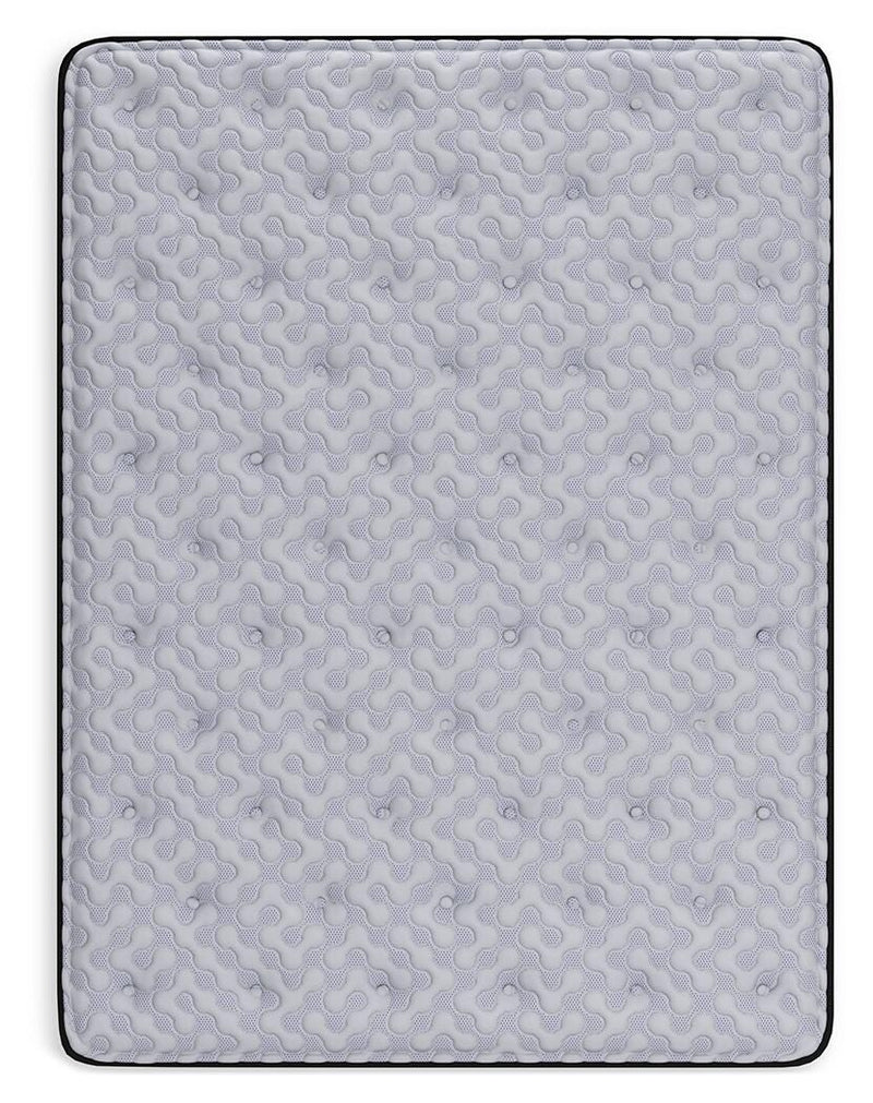 Anniversary Edition Plush Mattresses