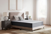 Anniversary Edition Plush Mattresses