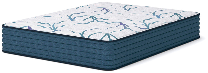 Limited Edition Firm Mattresses