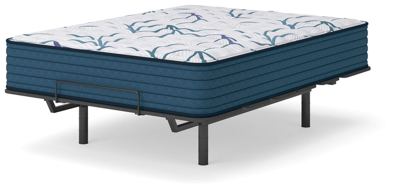 Limited Edition Firm Mattresses