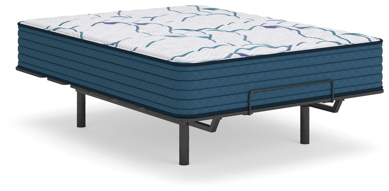 Limited Edition Firm Mattresses