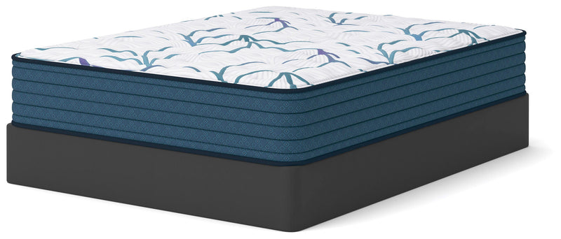 Limited Edition Firm Mattresses