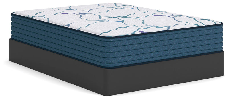 Limited Edition Firm Mattresses