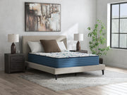 Limited Edition Firm Mattresses