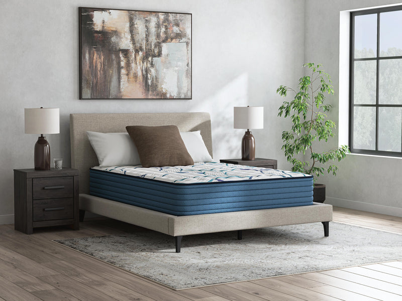 Limited Edition Firm Mattresses