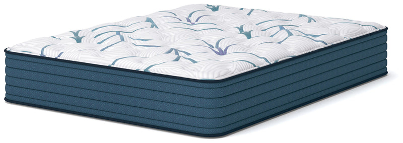 Limited Edition Plush Mattresses