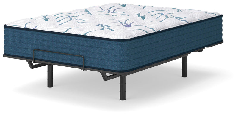 Limited Edition Plush Mattresses