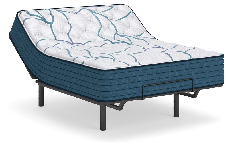 Limited Edition Plush Mattresses