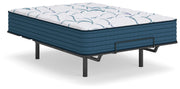Limited Edition Plush Mattresses
