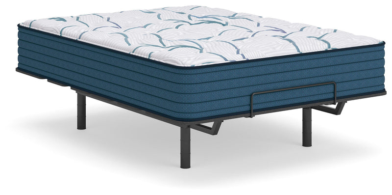 Limited Edition Plush Mattresses