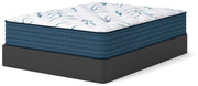 Limited Edition Plush Mattresses
