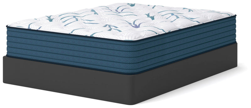 Limited Edition Plush Mattresses
