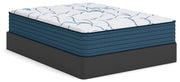 Limited Edition Plush Mattresses