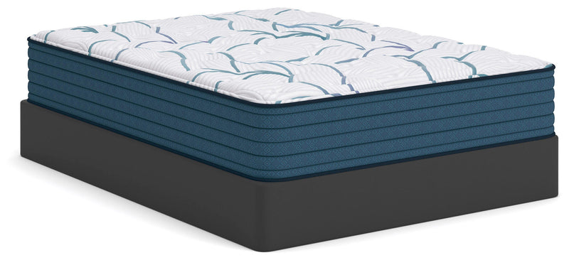 Limited Edition Plush Mattresses