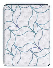 Limited Edition Plush Mattresses