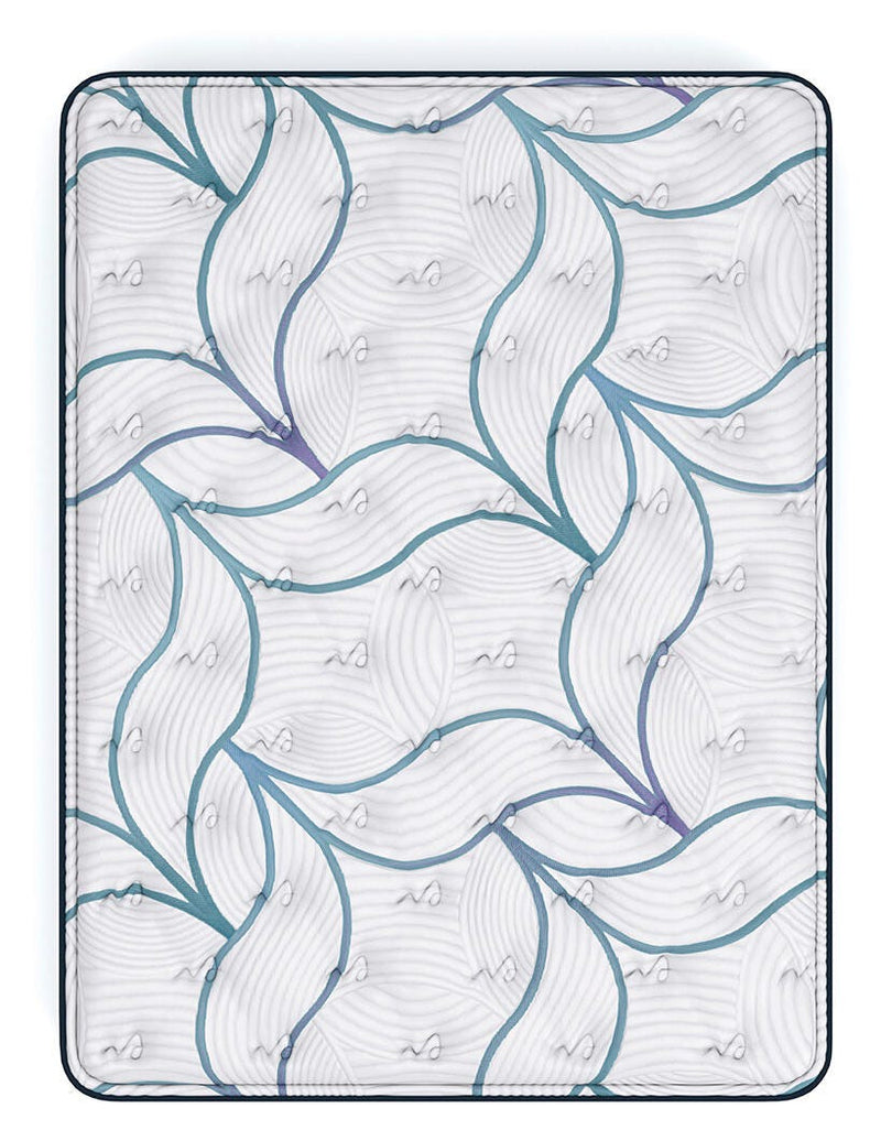 Limited Edition Plush Mattresses