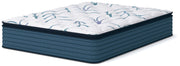 Limited Edition Plush PT Mattresses