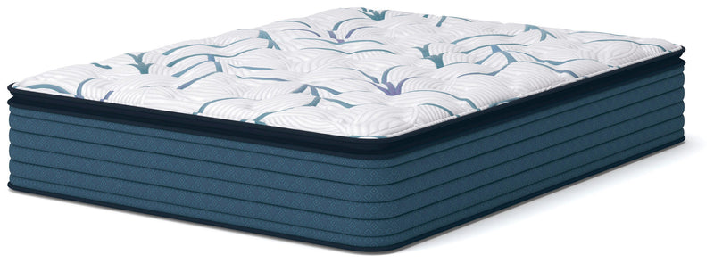 Limited Edition Plush PT Mattresses