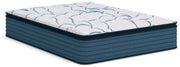 Limited Edition Plush PT Mattresses
