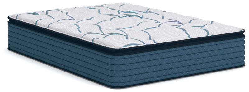 Limited Edition Plush PT Mattresses