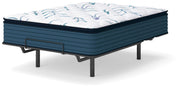 Limited Edition Plush PT Mattresses